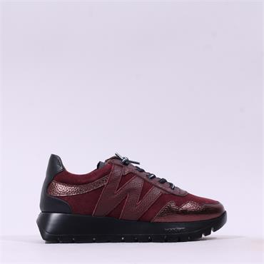 Wonders Odisei Two Tone Bungee Trainer - Burgundy